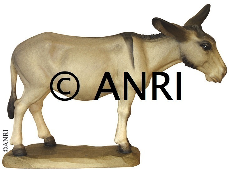 Asino art. 79710-11